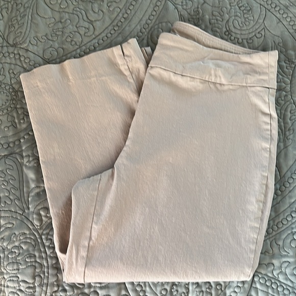 Dana Buchman tan super stretch capris - Picture 3 of 4